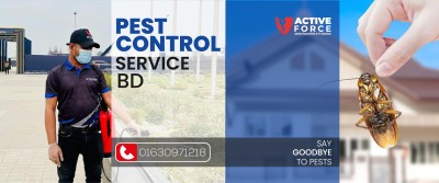 Pest Control Service BD: Say Goodbye to Pests