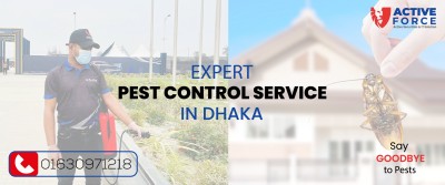 Say Goodbye to Pests with Expert Pest Control in Dhaka
