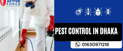 Effective Pest Control in Bangladesh: Safe, Reliable Solutions