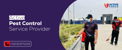 Monthly Pest Control Service for a Pest-Free Home | 01630971218