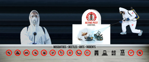 best pest control for hotel