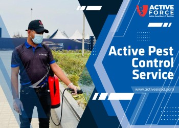 Active Pest Control Service
