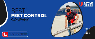 best pest control company | Active Force