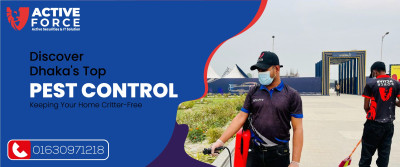 Discover Dhaka&#039;s Top Pest Control: Keeping Your Home Critter-Free