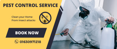 Affordable Pest Control Service Price in Dhaka | Quick Solutions
